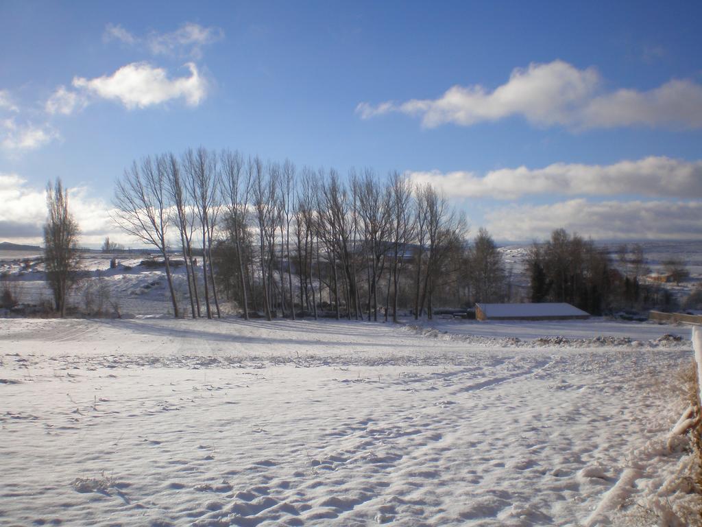 Penzion Casa Rural La Duena El Pobo de Dueñas Exteriér fotografie